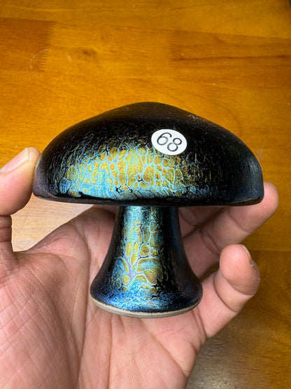 Michael 12.17（evening）