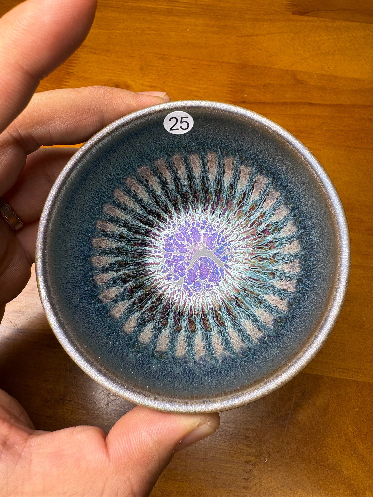 Michael 12.17（evening）