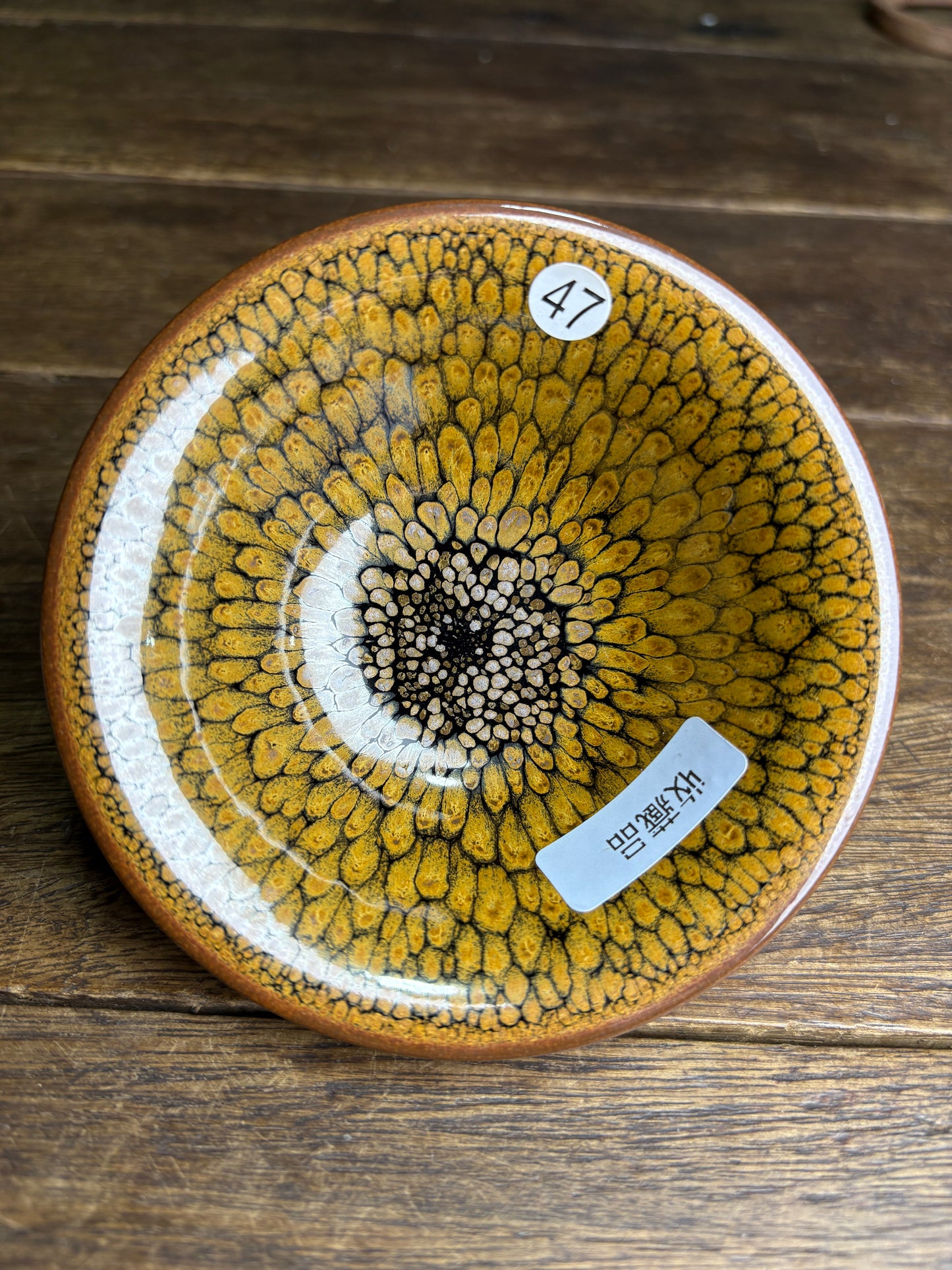 Michael 12.14（evening）