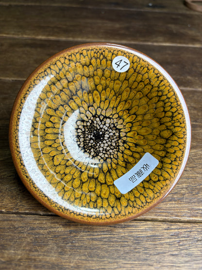 Michael 12.14（evening）