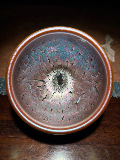 Michael 12.19evening