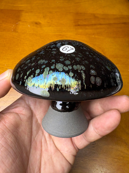 Michael 12.17（evening）