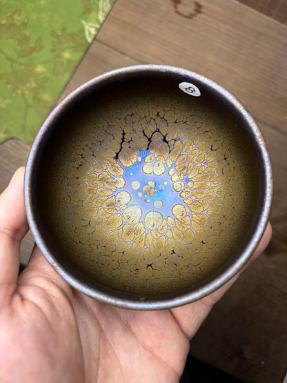 Michael 12.23evening