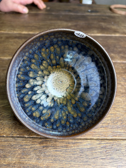 Michael 12.14（evening）