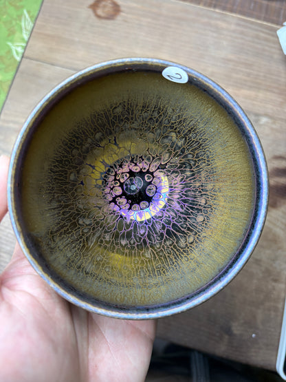 Michael 12.23evening