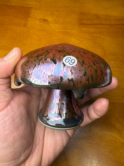 Michael 12.17（evening）