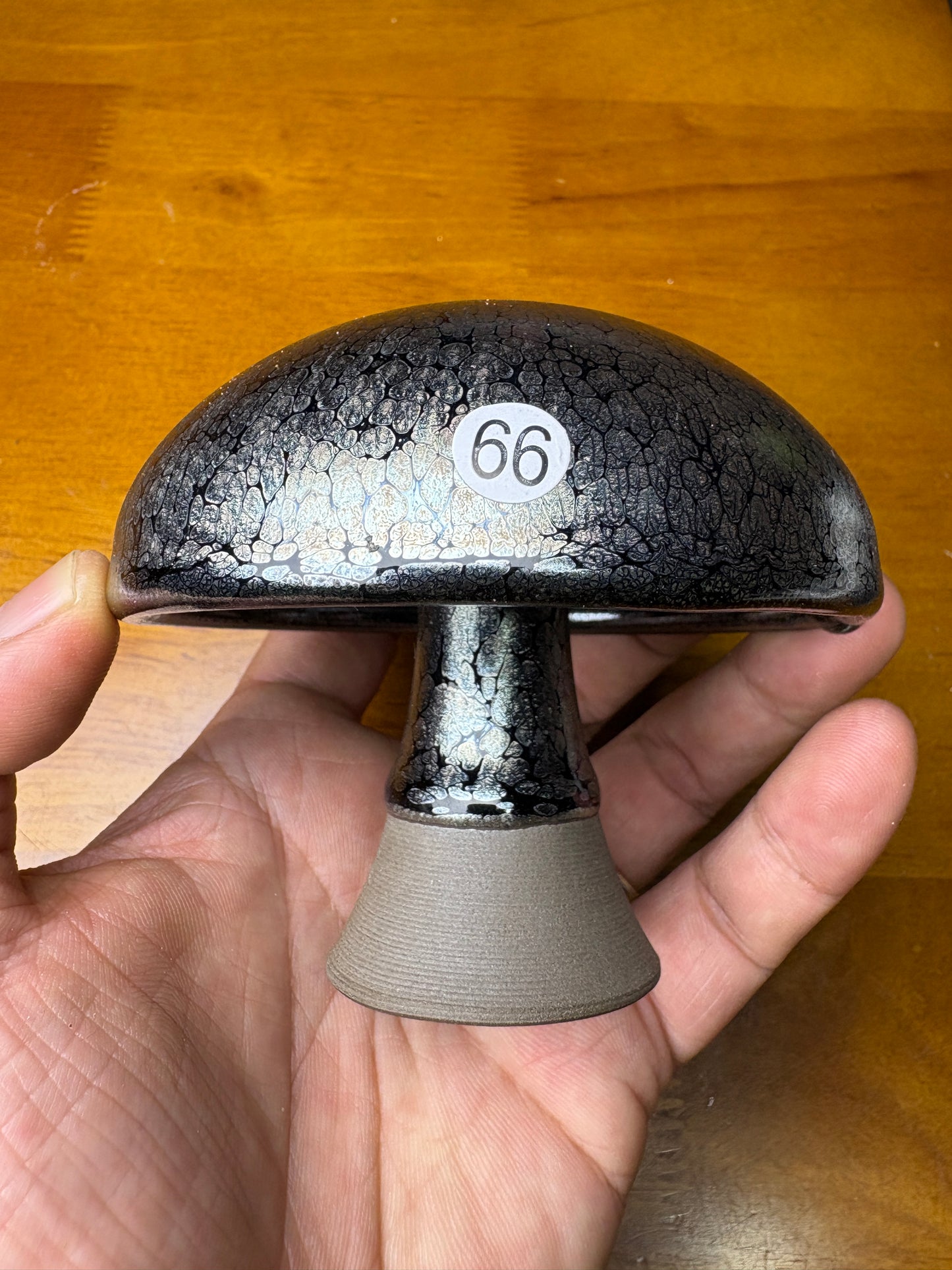 Michael 12.17（evening）