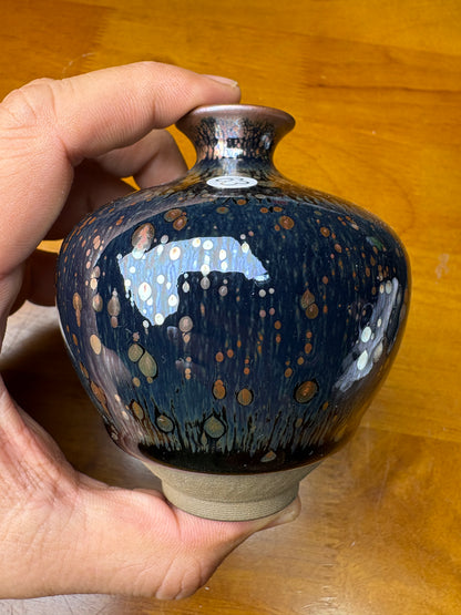 Michael 12.17（evening）