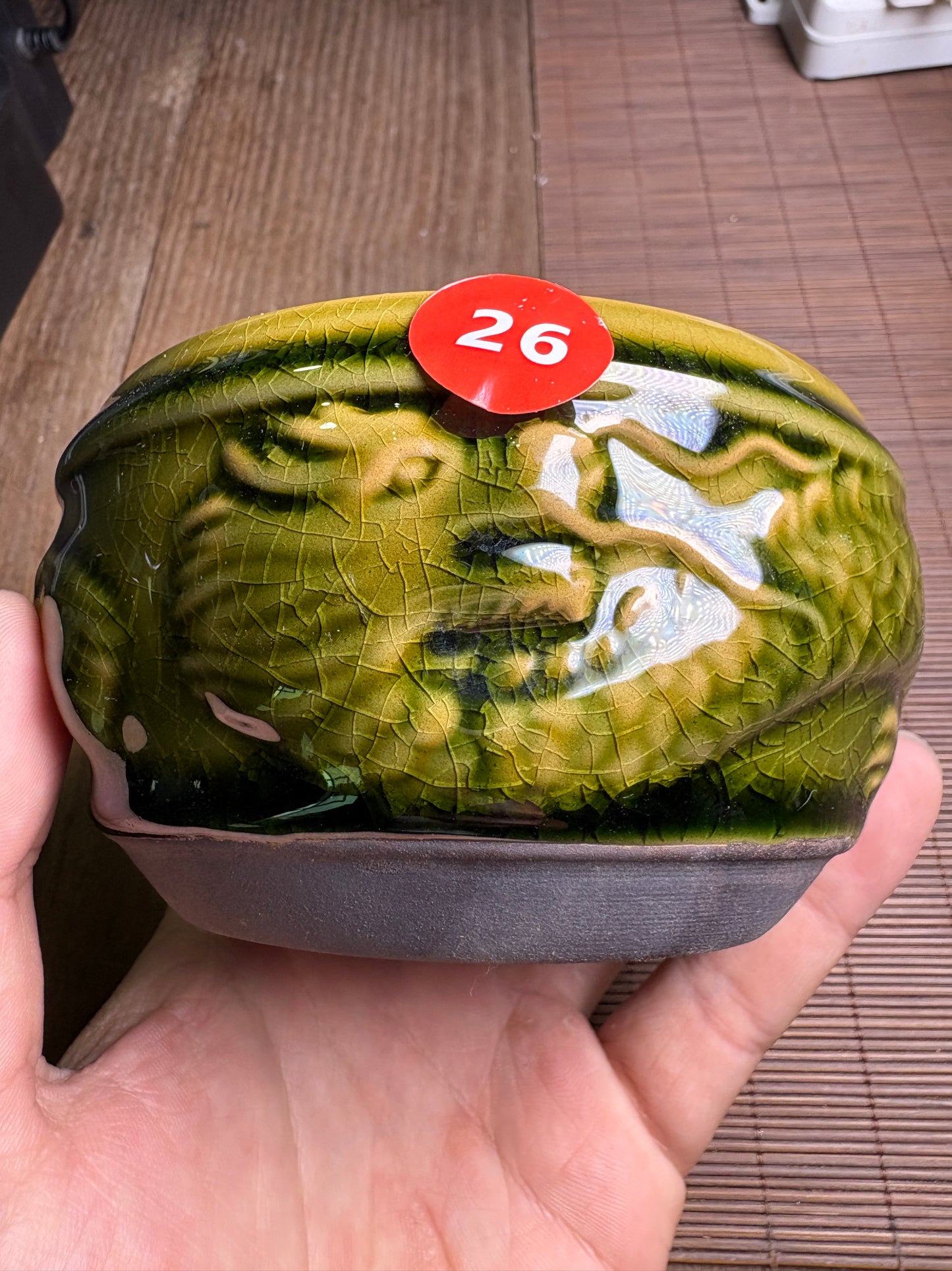 Michael 5.6