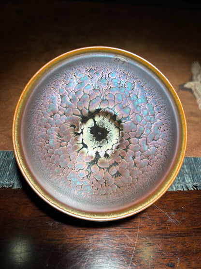 Michael 12.19evening