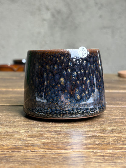 Michael 12.14（evening）