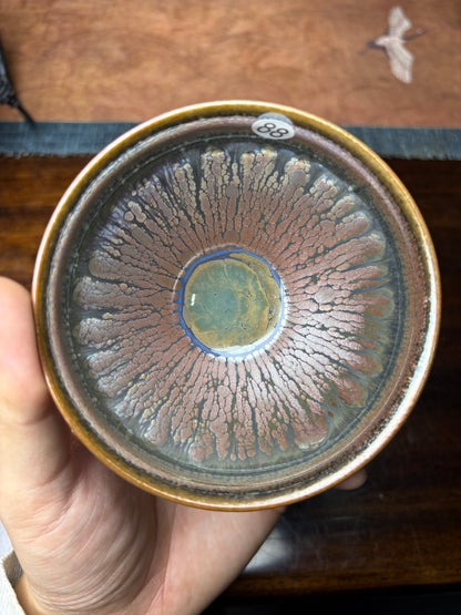 Michael 12.19evening