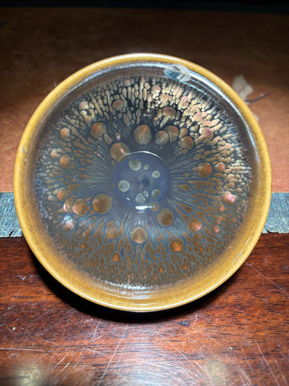 Michael 12.19evening