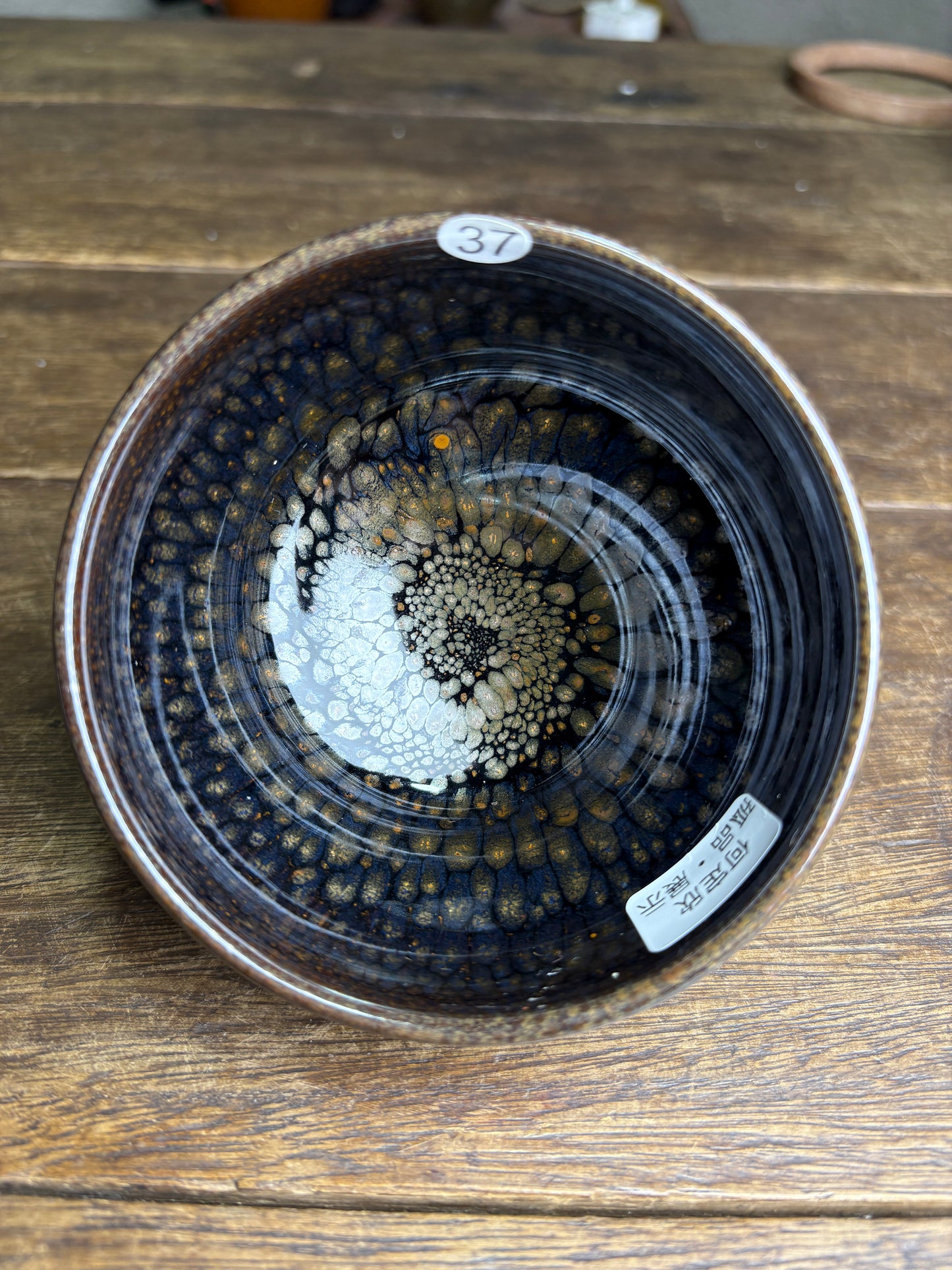 Michael 12.14（evening）