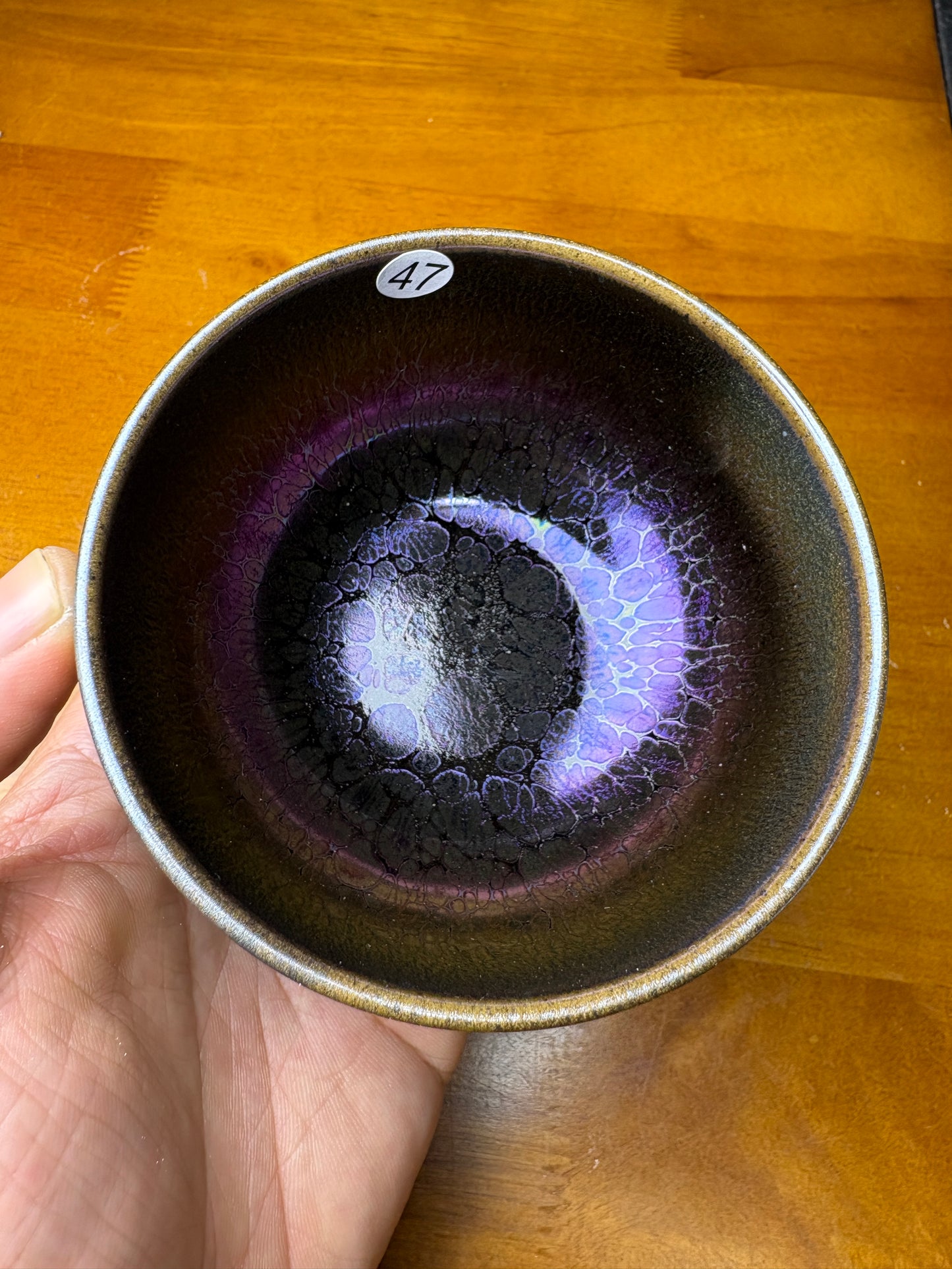 Michael 12.17（evening）