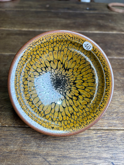 Michael 12.14（evening）