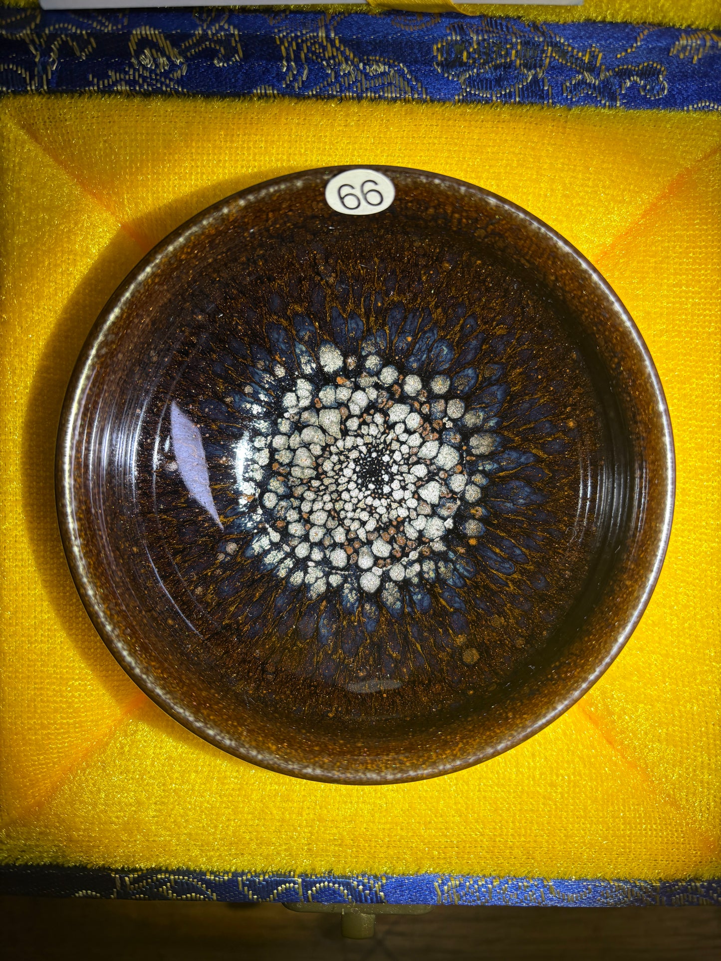 Michael 12.14（evening）