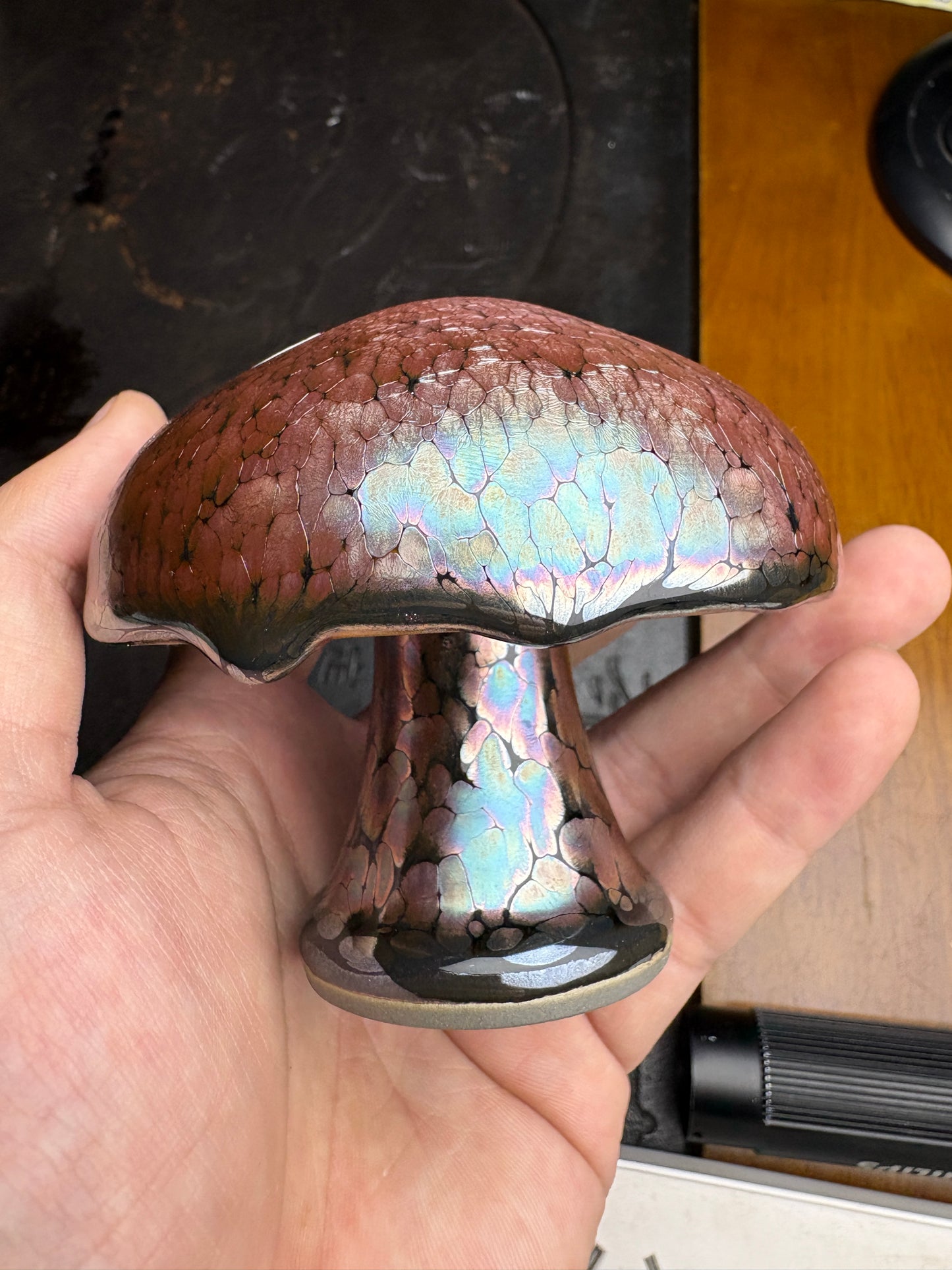 Michael 12.17（evening）