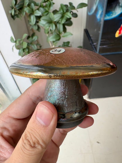 Michael 7.19